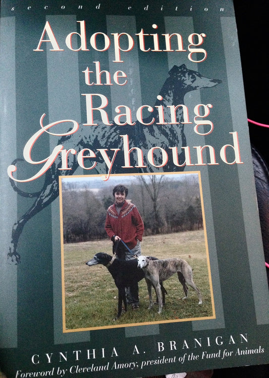 Adopting the Racing Greyhound