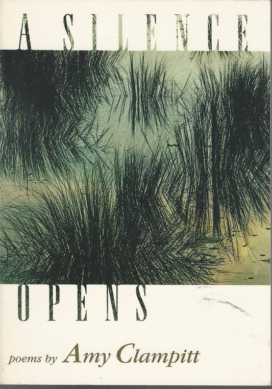 A Silence Opens: Poems