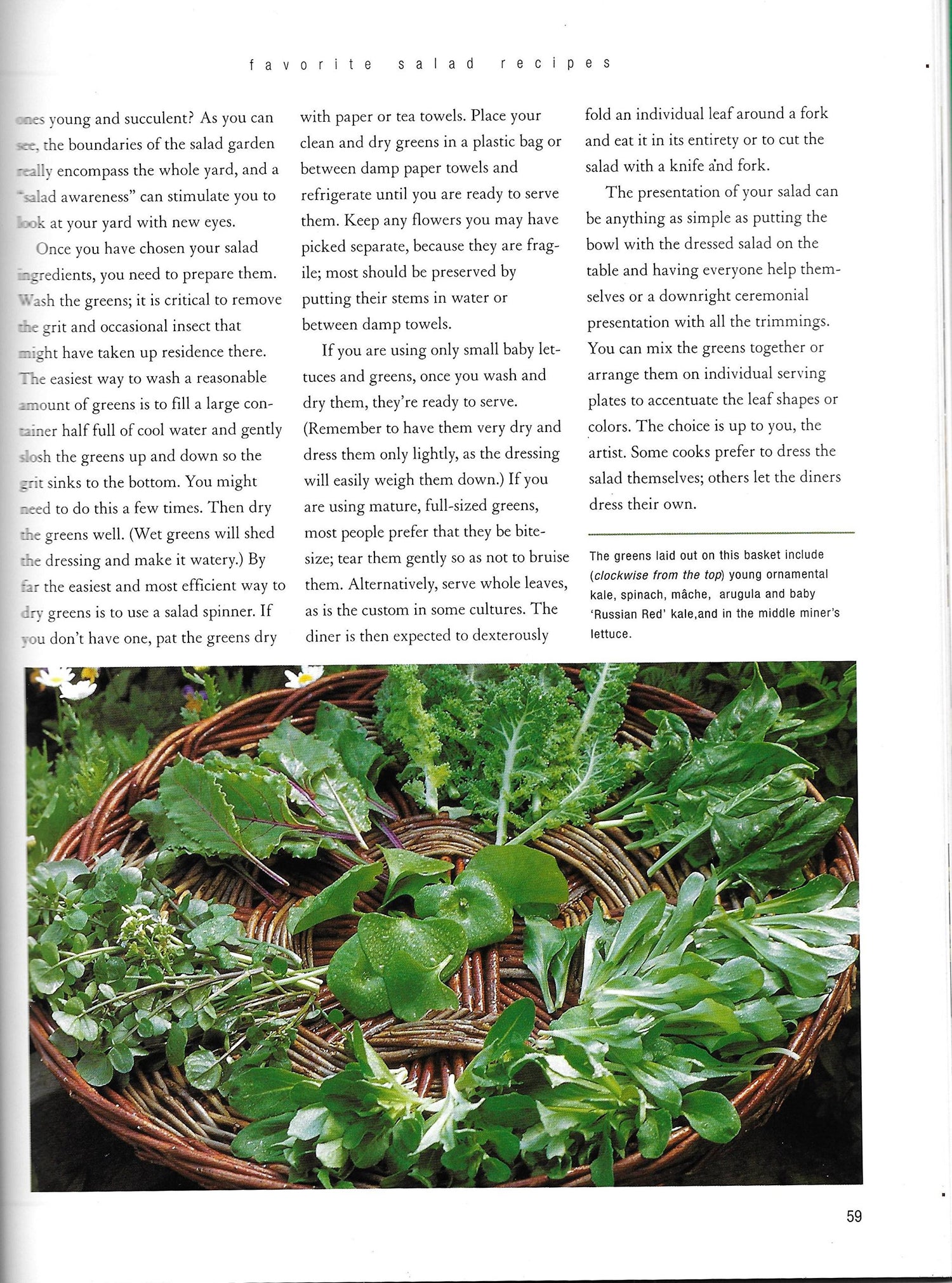Edible Salad Garden book cover
