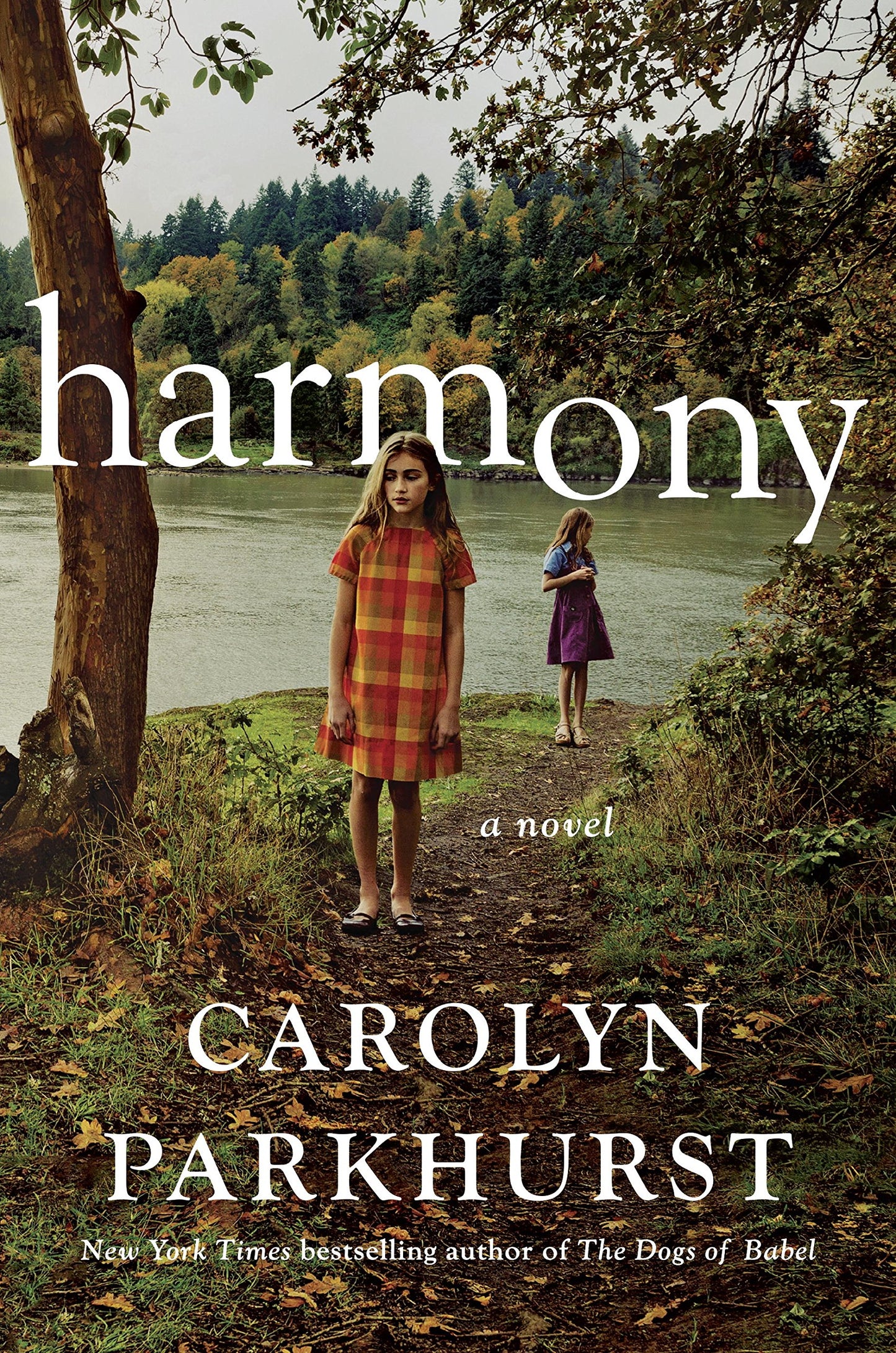 Harmony book cover
