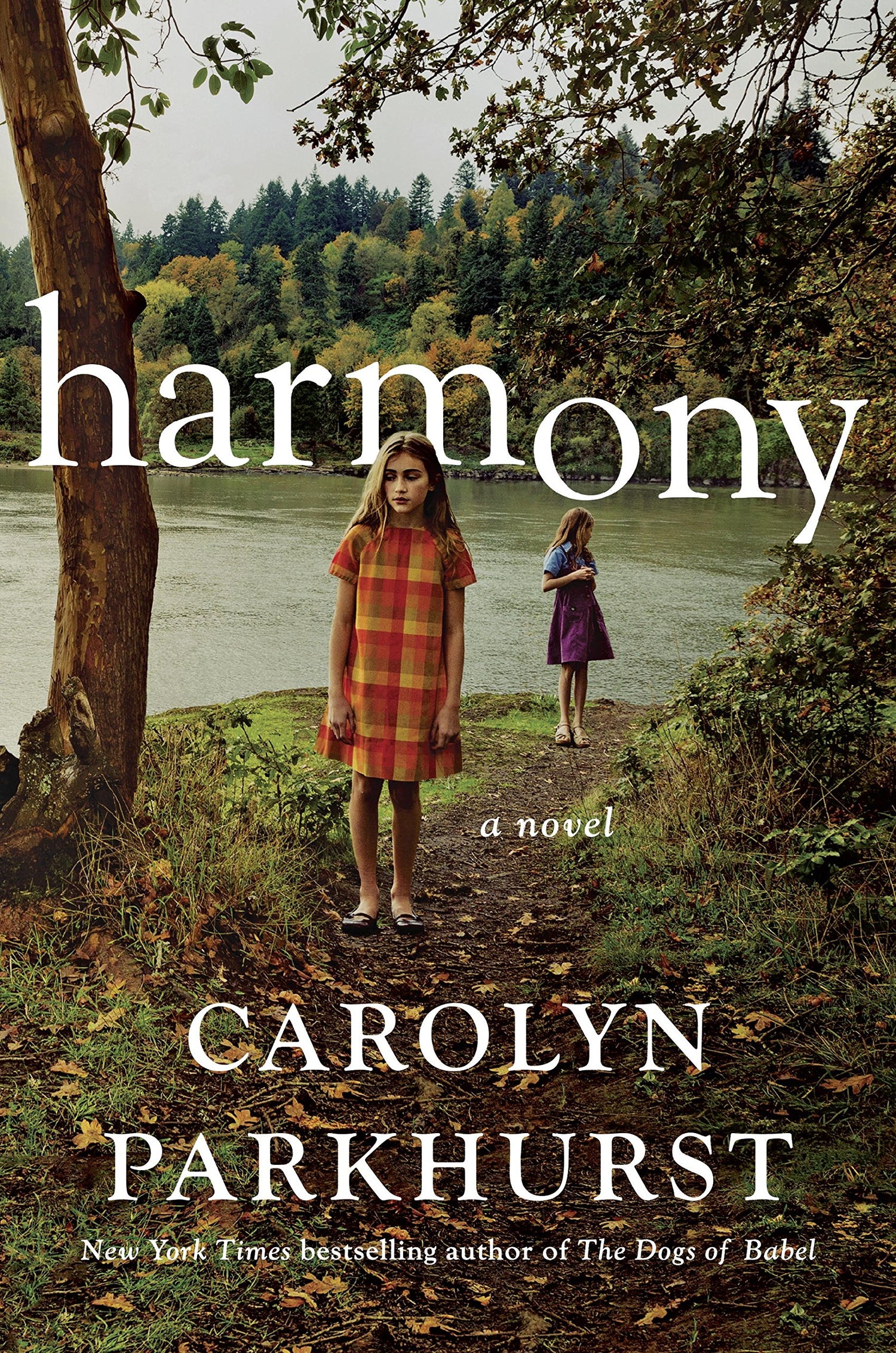 Harmony book cover