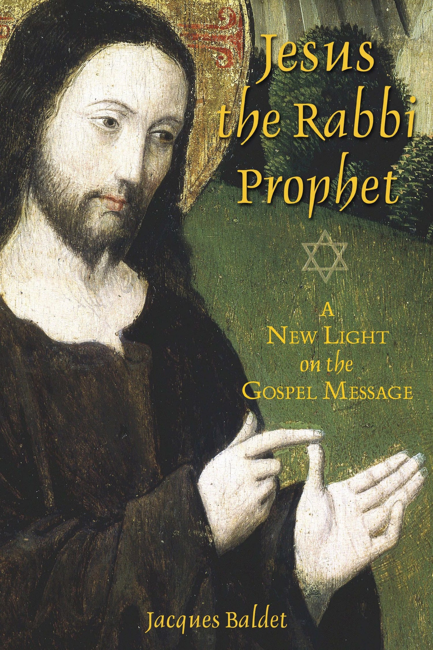 Jesus the Rabbi Prophet: A New Light on the Gospel Message book cover