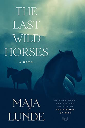 Last Wild Horses