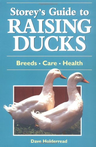 Raising Ducks