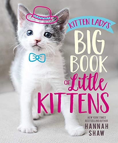 Kitten Lady's Big Book of Little Kittens